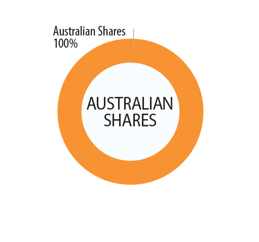 Options Australian Shares