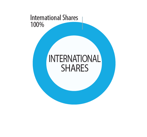 Options Internation Shares