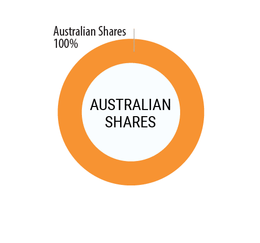 Australian Shares Option