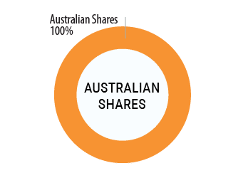 Australian Shares Option