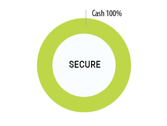 Secure Option
